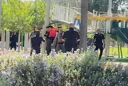 תפיסת הגנב
