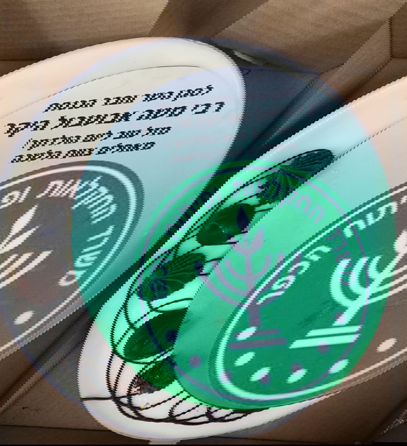 זופניק בכיכר • כל התמונות, הנייעס והחשיפות של השבוע