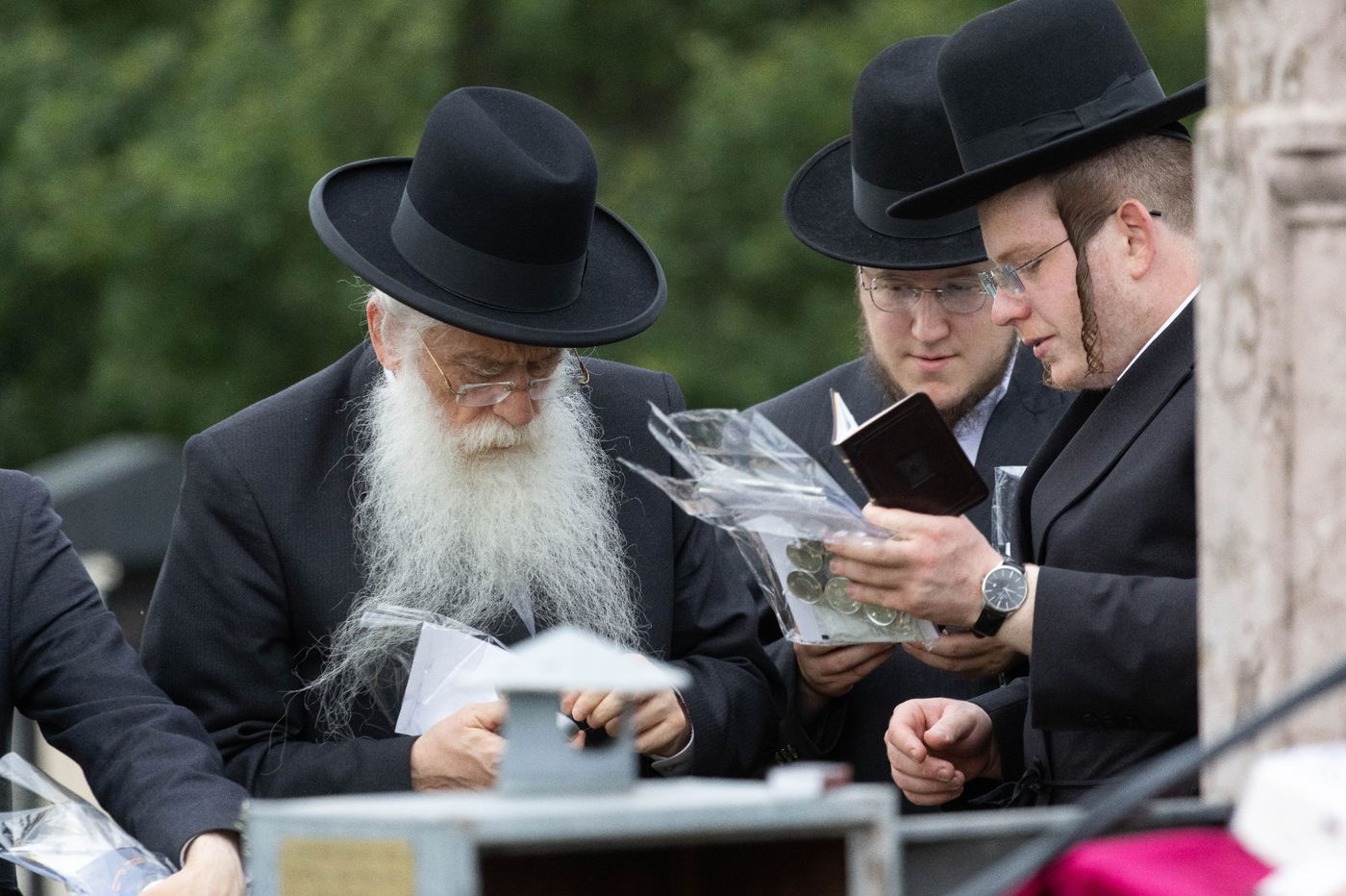 זופניק בכיכר • כל התמונות, הנייעס והחשיפות של השבוע