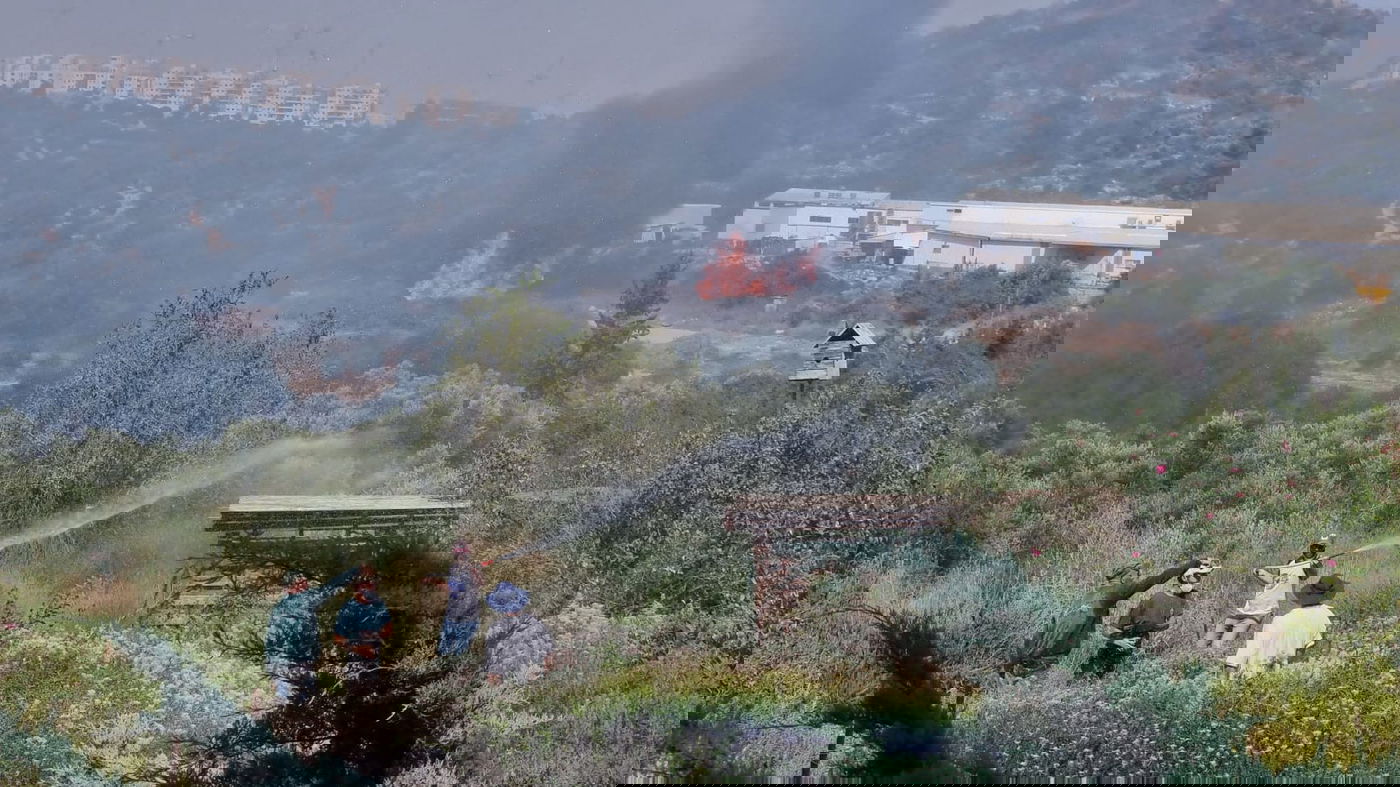 הושגה שליטה בשריפה בהרי ירושלים סמוך לקיבוץ צובה | תיעוד