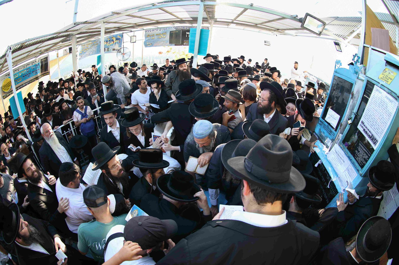 הילולת האר"י ז"ל