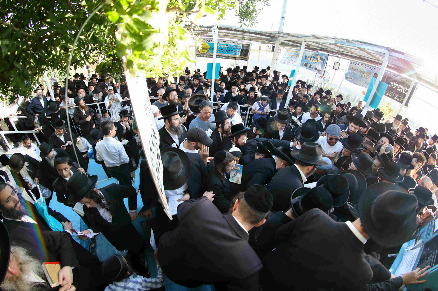 הילולת האר"י ז"ל