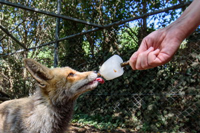 מזג האוויר: חם מהרגיל עד שרבי, עומס חום כבד בכל הארץ