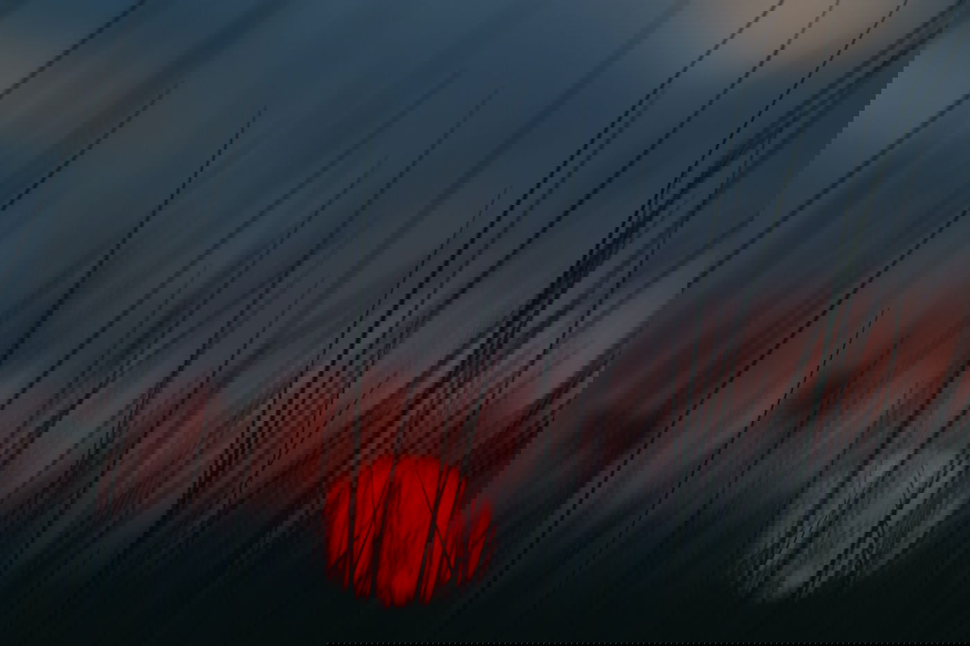 בין לבין // הרב בן ציון נורדמן