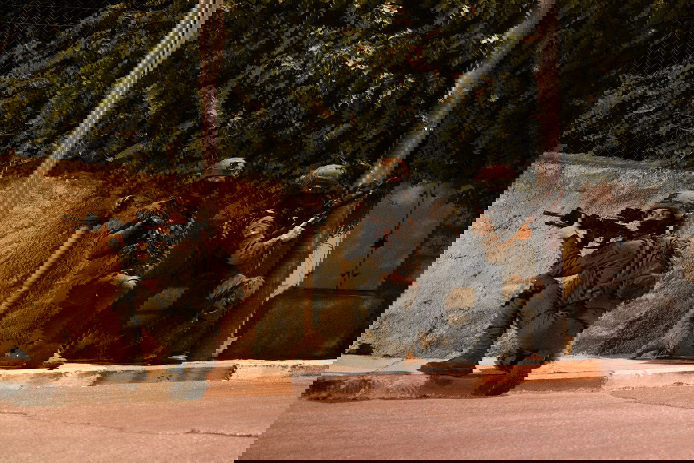 לוחמי צה"ל יצאו למבצע מעצרים ביו"ש; 32 מבוקשים נעצרו