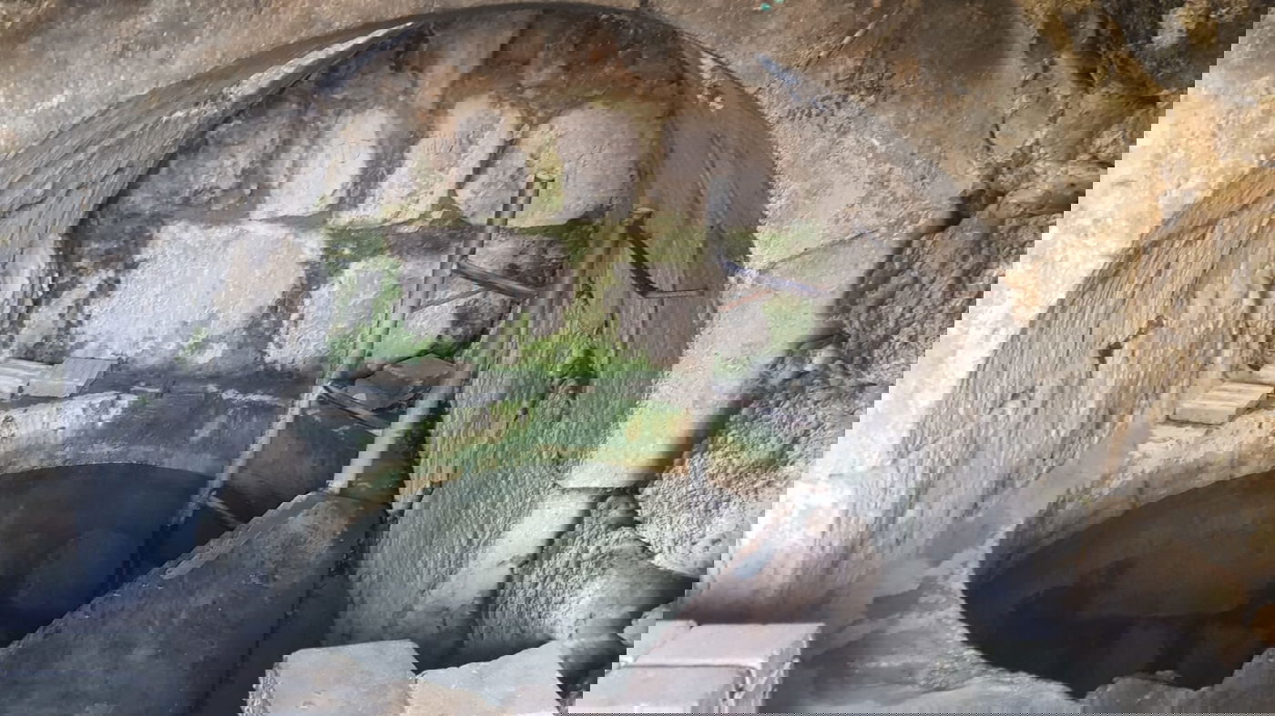 עינות דקלים