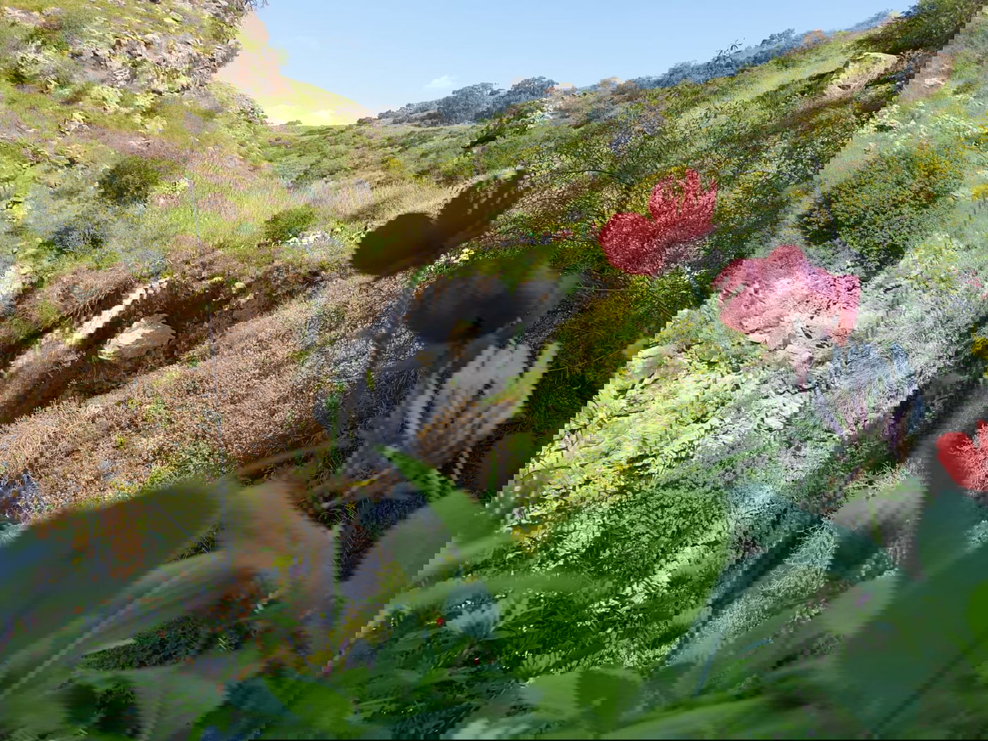 נחל ג'ילבון