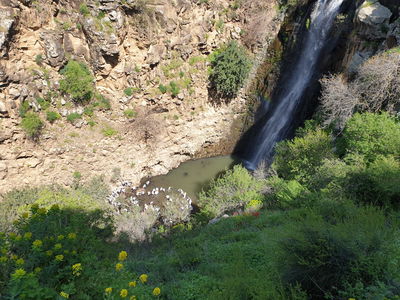 נחל ג'ילבון