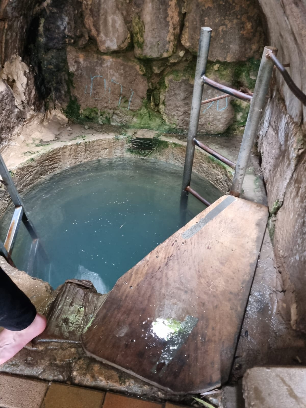 עינות דקלים