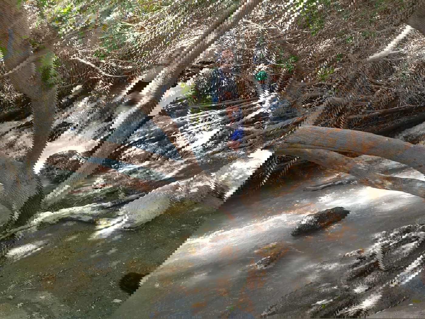 המפלים הלבנים