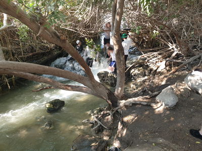 המפלים הלבנים