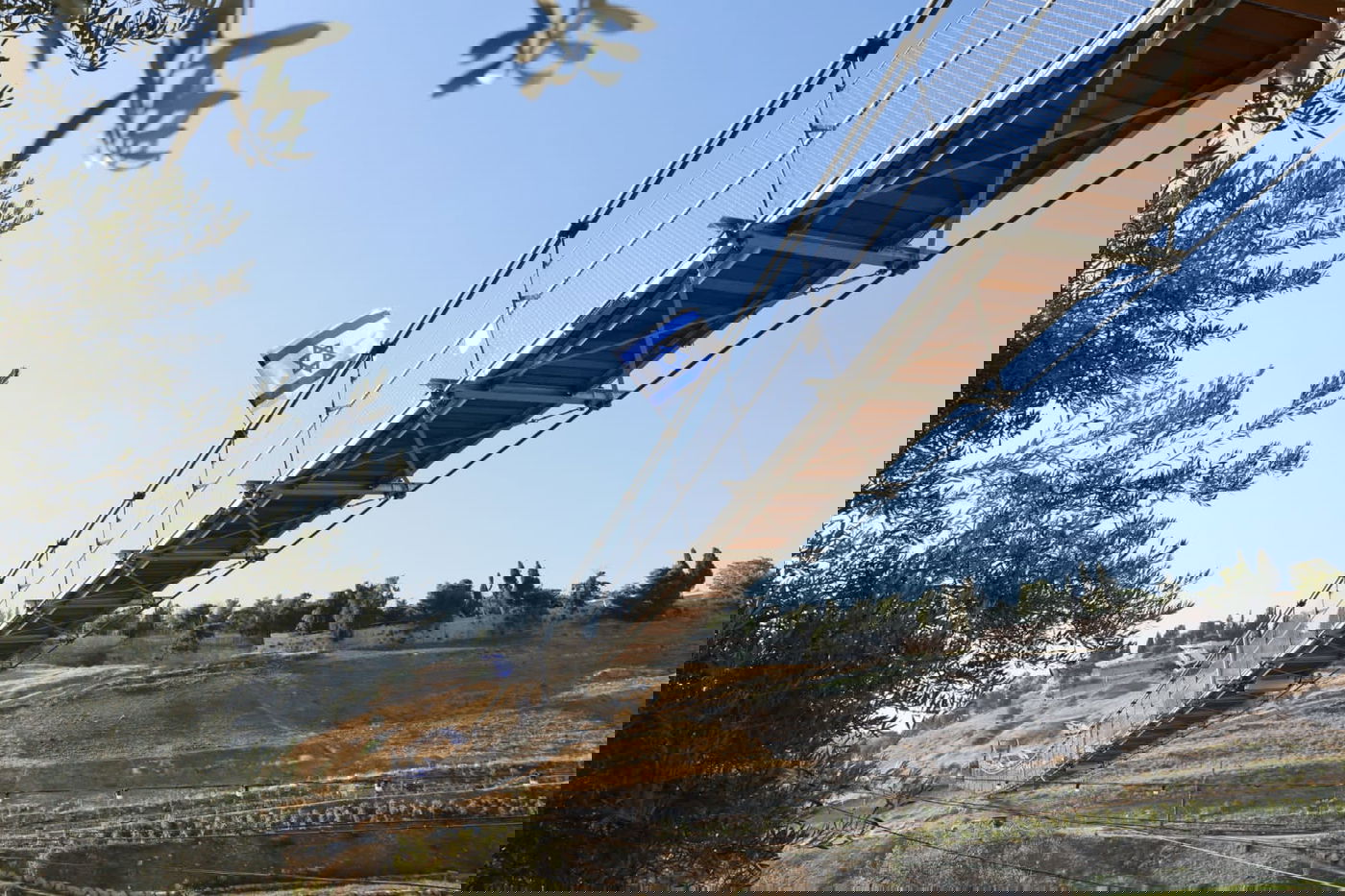 הגשר התלוי הארוך בישראל נפתח בירושלים | צפו בתיעוד