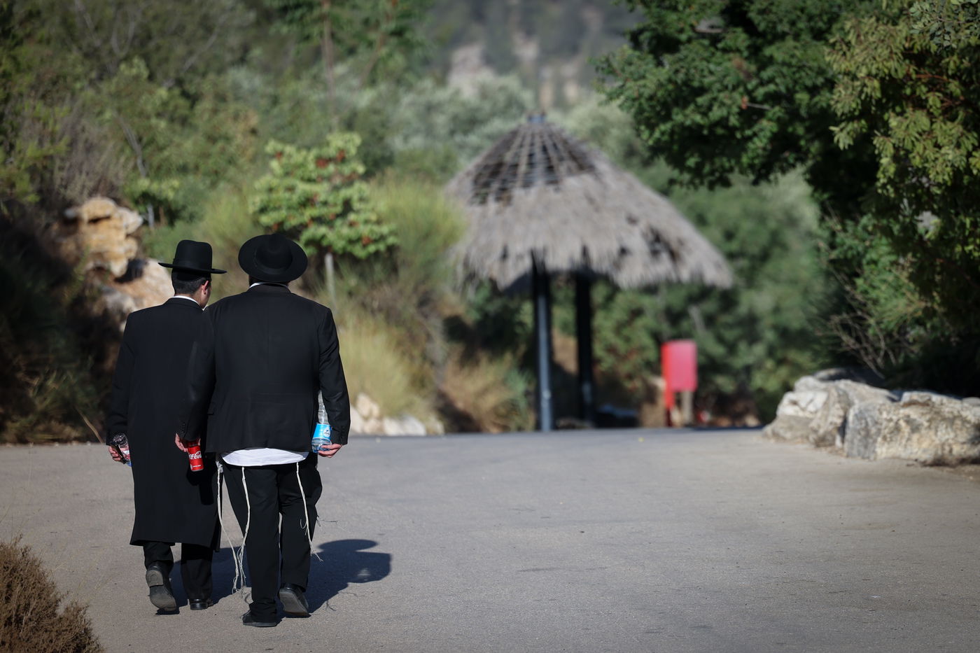 בין הזמנים בגן החיות התנכ"י