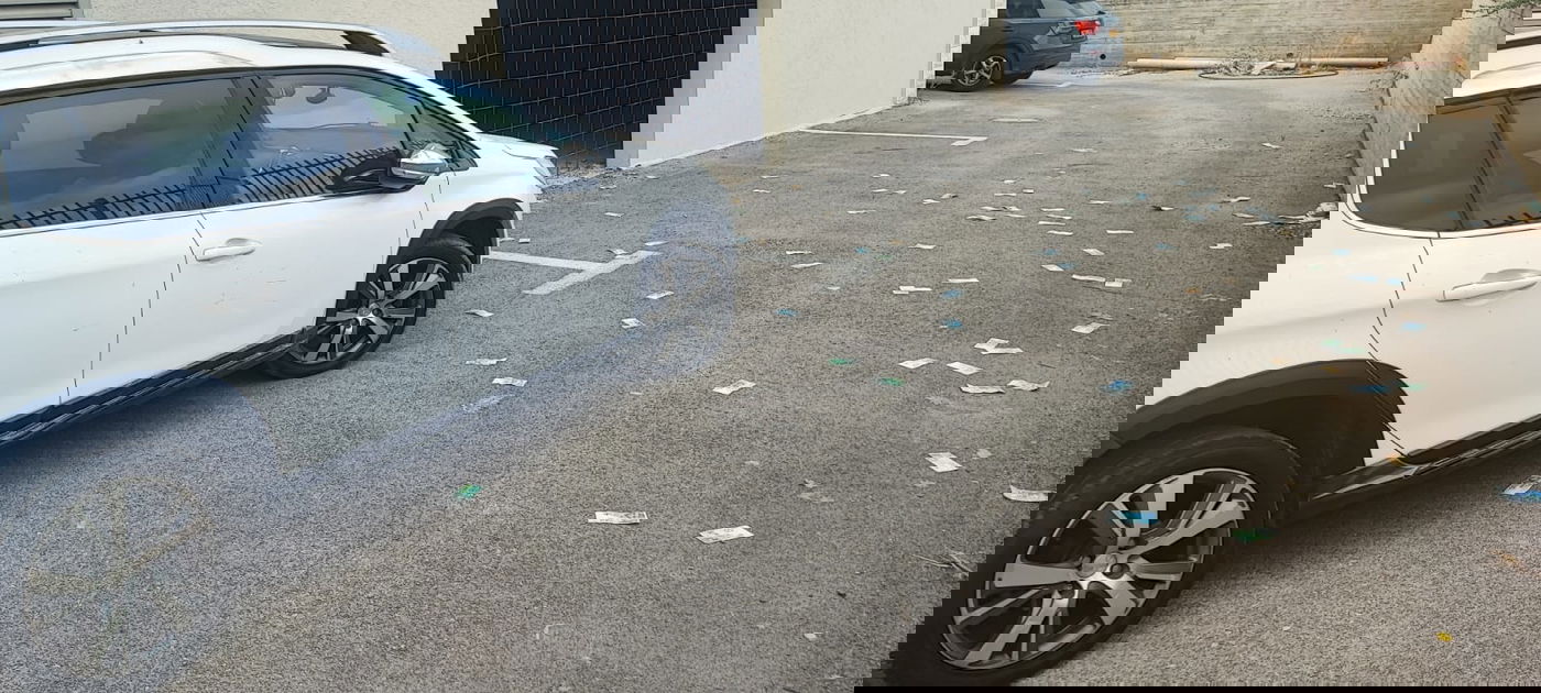 חשוד בהעלמת מס פיזר עשרות אלפי שקלים מחלון הבית | תיעוד