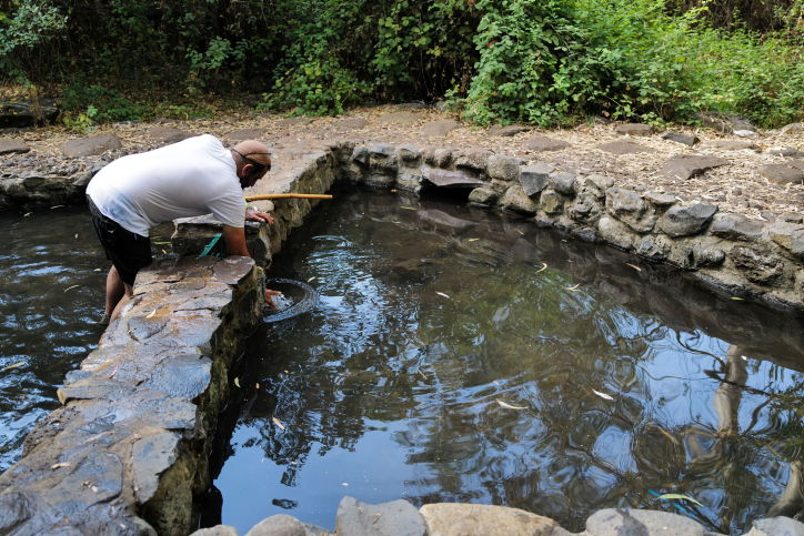 התחזית: ירידה בטמפרטורות, תורגש הקלת מה בעומסי החום