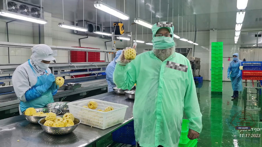 כך מכינים קופסאות פירות בויאטנם