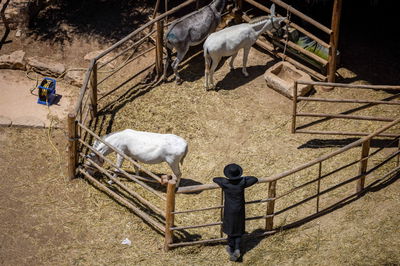 התחזית: ללא שינוי במידות החום שתהיינה רגילות לעונה