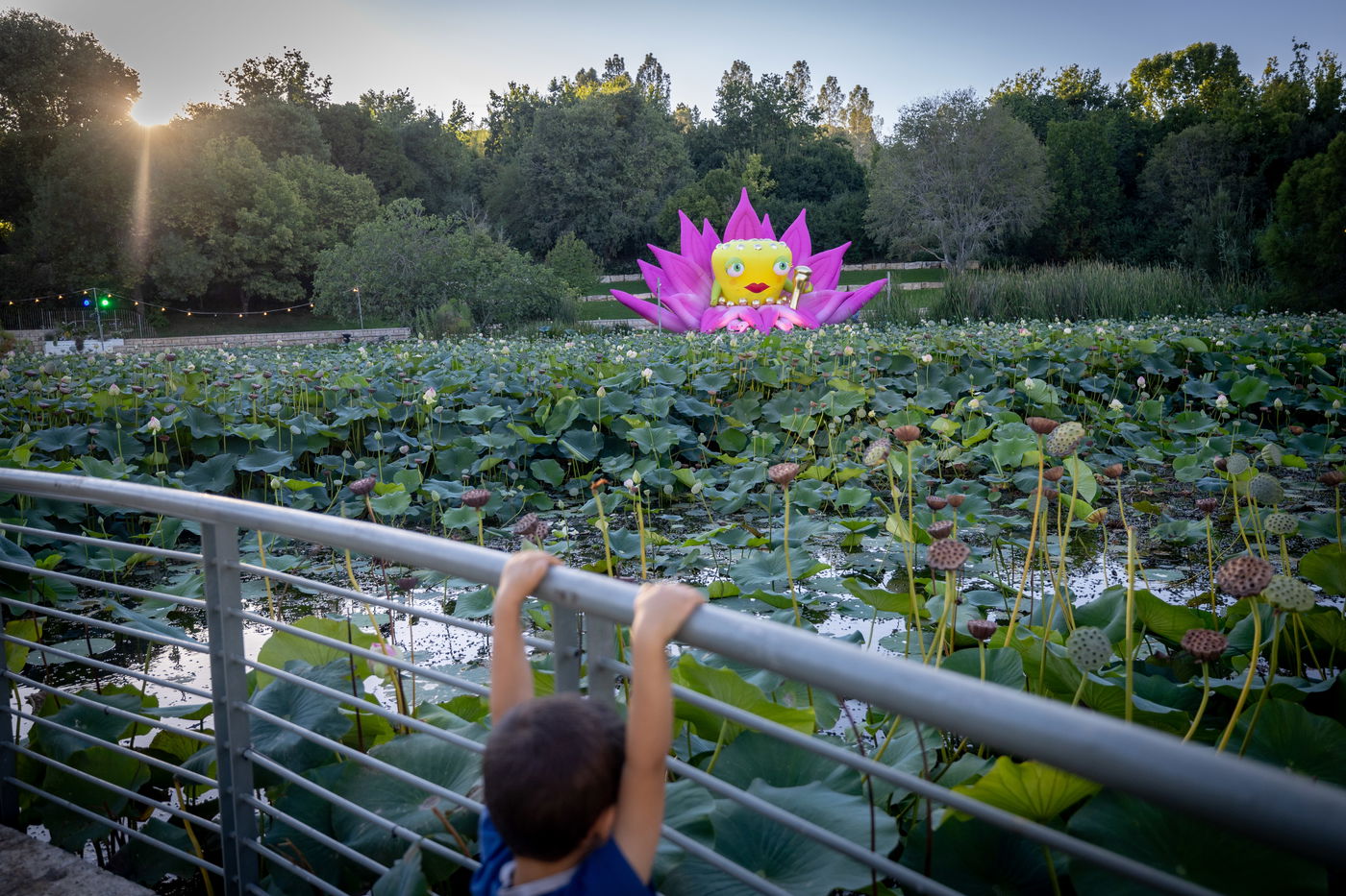 לקראת הקלה בעומס החום: הטמפרטורות יעלו