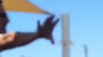 השתלח בבוטות. מתוך הסרטון