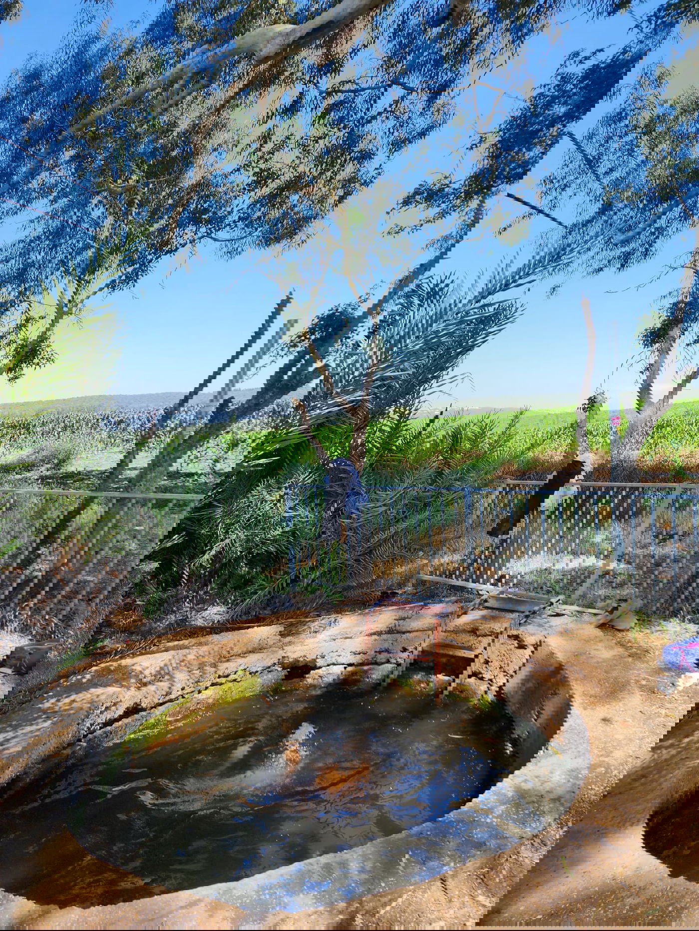 טבילה בבאר אבא