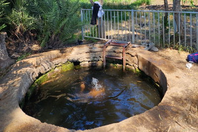 טבילה בבאר אבא