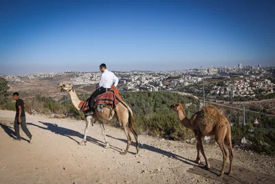 המלכודת של בין הזמנים: הסיבות שיגרמו לכם לטעות בהכרת העיר להשקעה