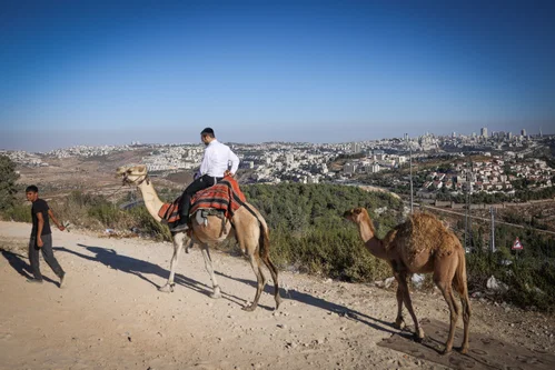 המלכודת של בין הזמנים: הסיבות שיגרמו לכם לטעות בהכרת העיר להשקעה