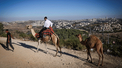 טבילה ורכיבה על סוס וגמל - בקבר שמואל הנביא | תיעוד