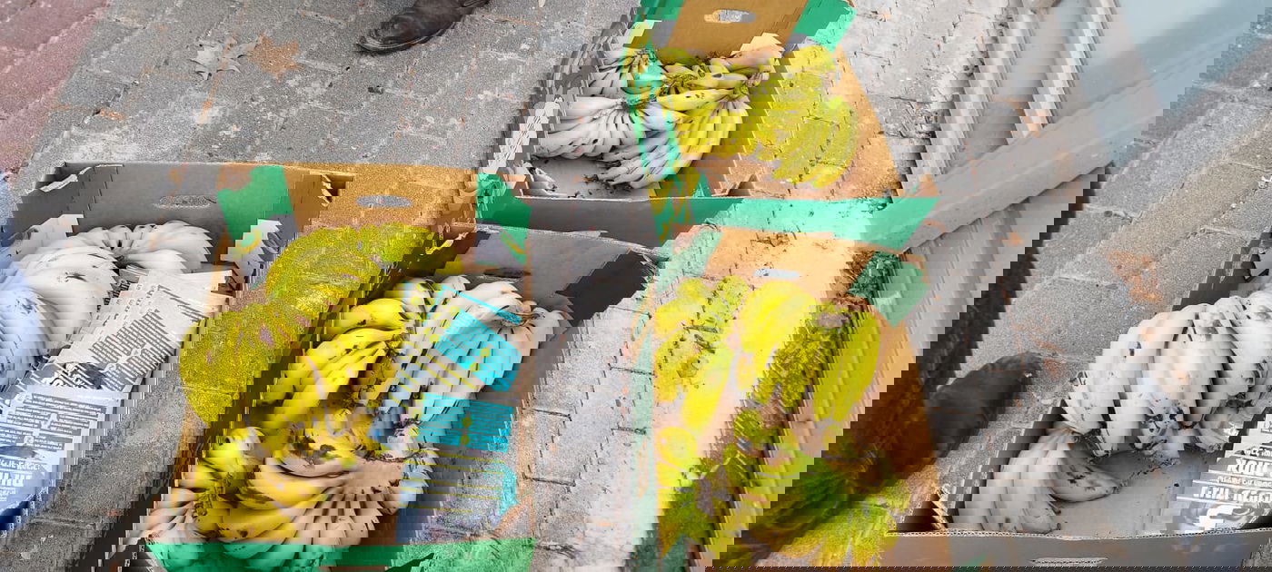 "משמר רפובליקת הבננות"; פעילי ימין הפגינו מול בית נשיאת העליון