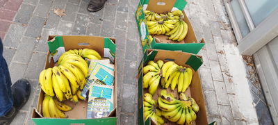 "משמר רפובליקת הבננות"; פעילי ימין הפגינו מול בית נשיאת העליון