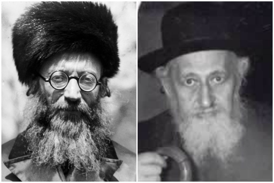 הרב מבריסק והראי"ה קוק