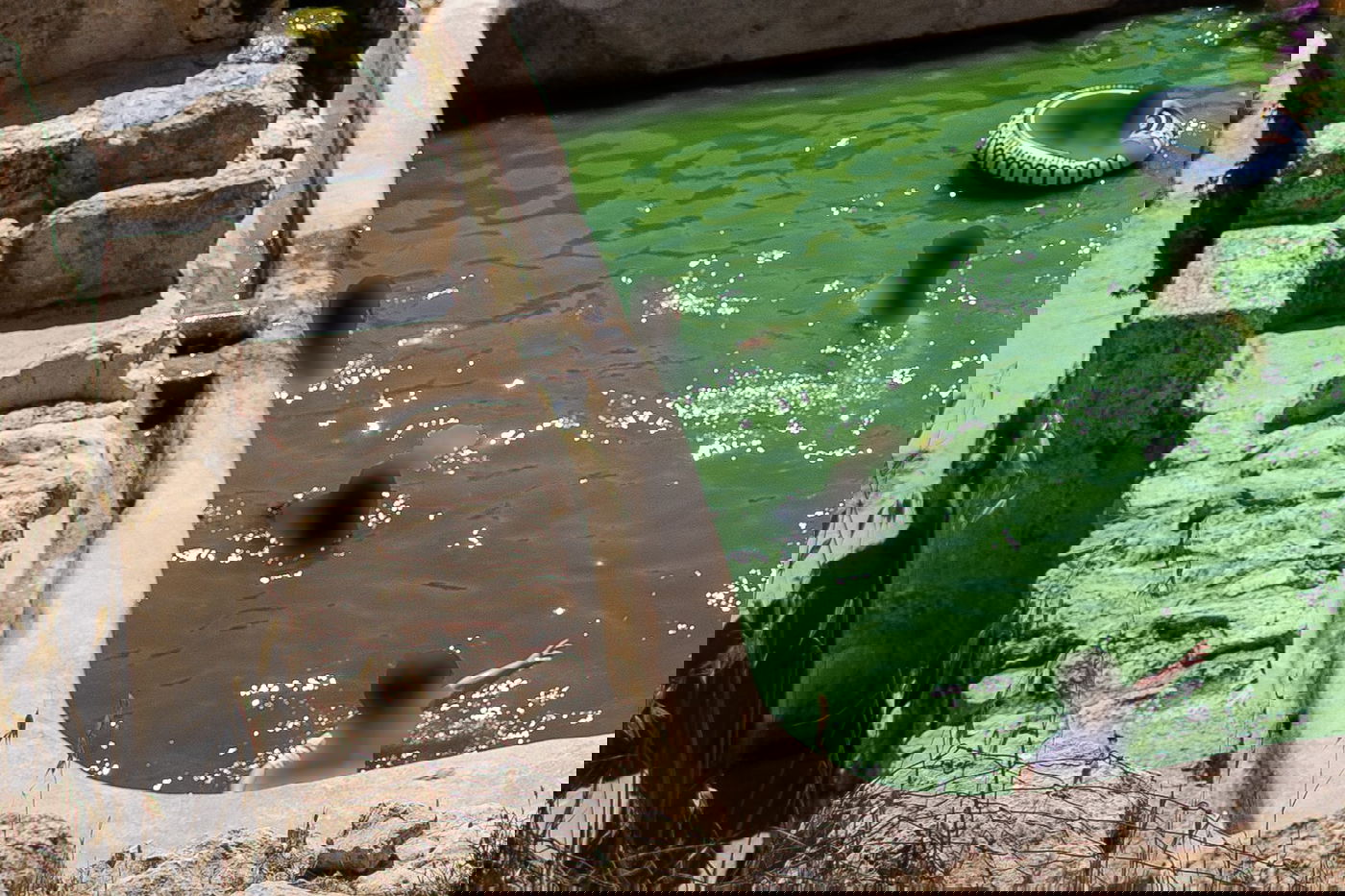 אולי אפשר לוותר על זה השנה. מעיין עין חניה