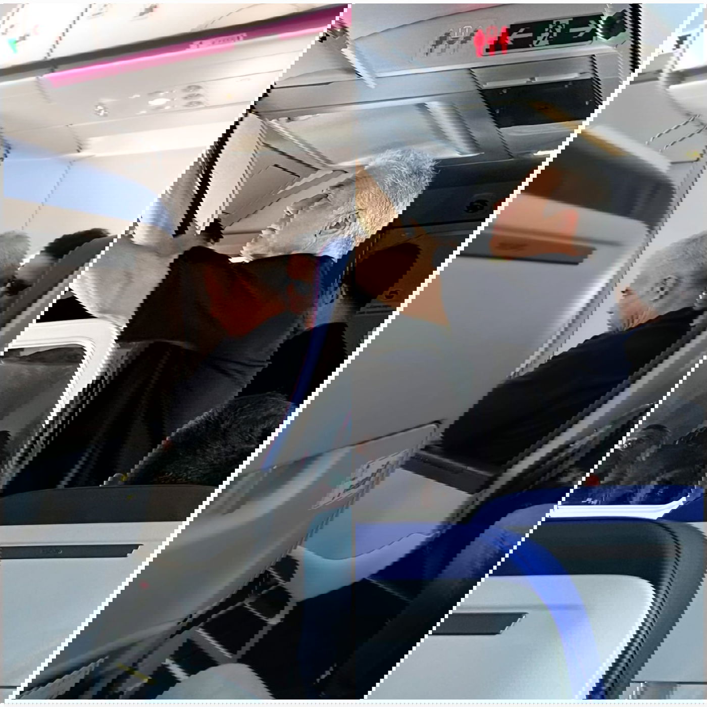 זופניק בכיכר • כל התמונות, הנייעס והחשיפות של השבוע