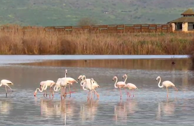 המראה המרהיב הבוקר