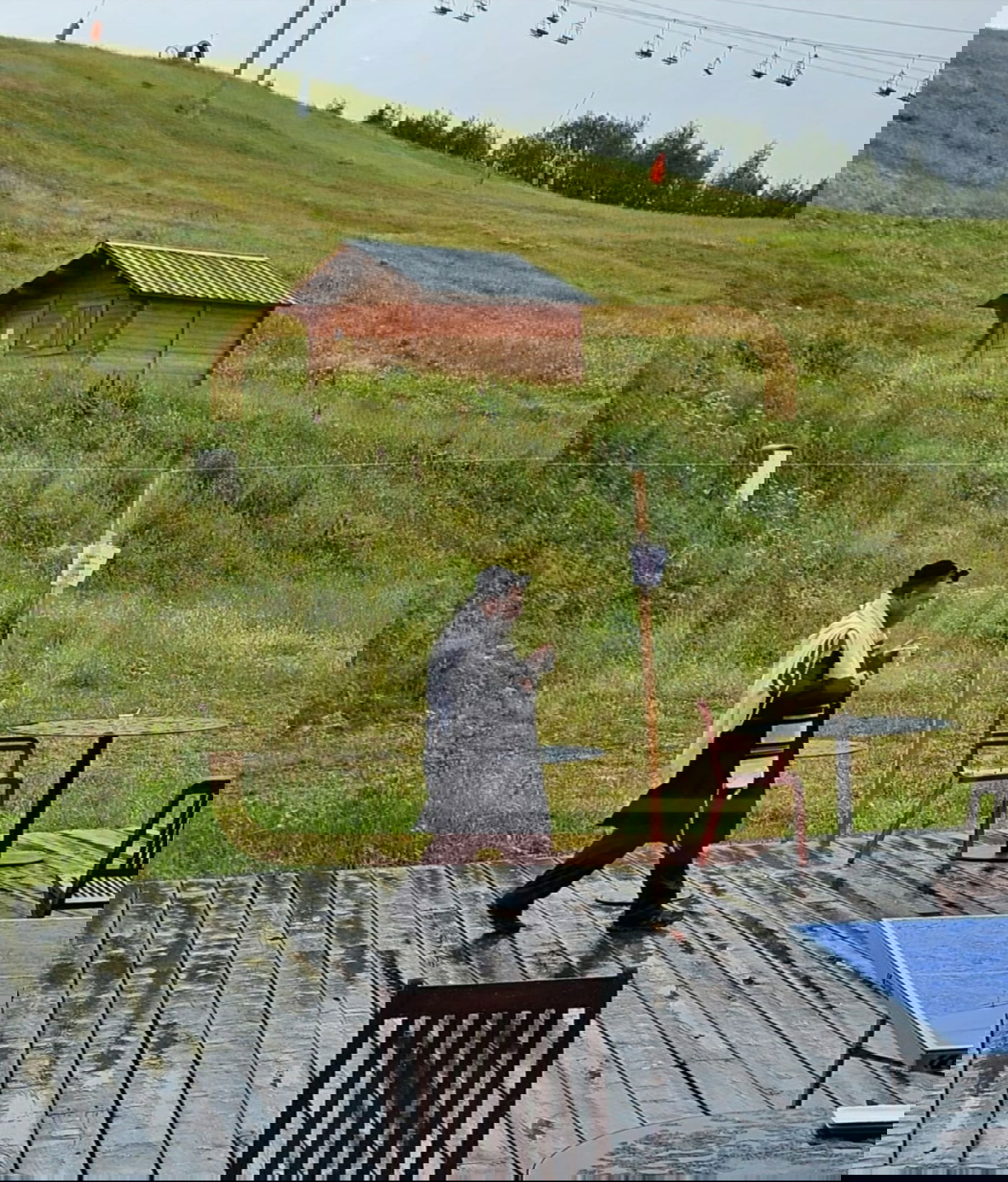 זופניק בכיכר • כל התמונות, הנייעס והחשיפות של השבוע