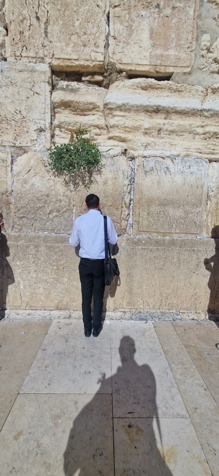 זופניק בכיכר • כל התמונות, הנייעס והחשיפות של השבוע