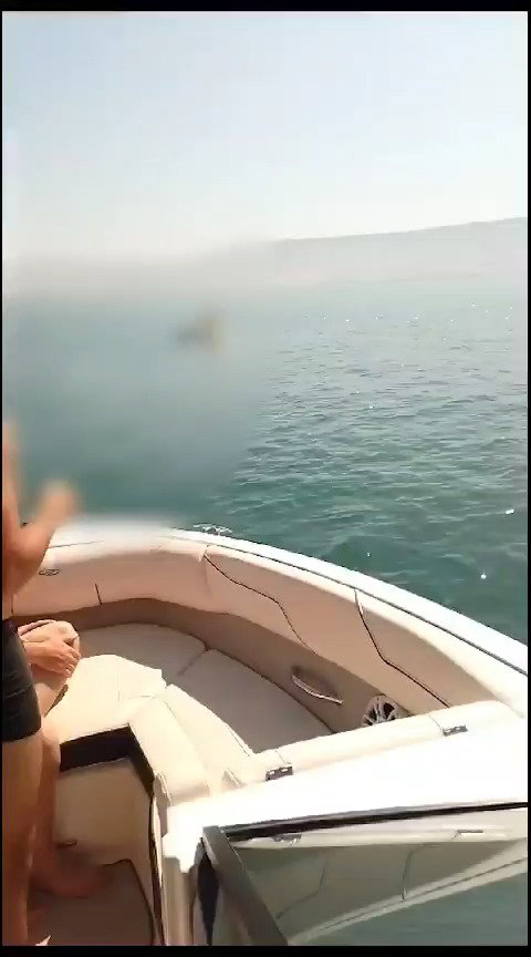 ההצלה בכינרת