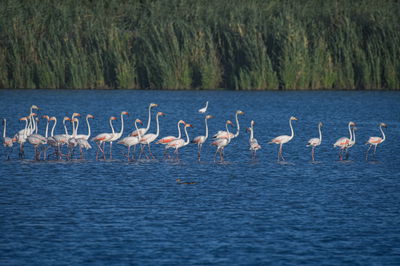 התחזית: שרב נוסף יתפתח בשבת; ייתכן גשם מקומי קל
