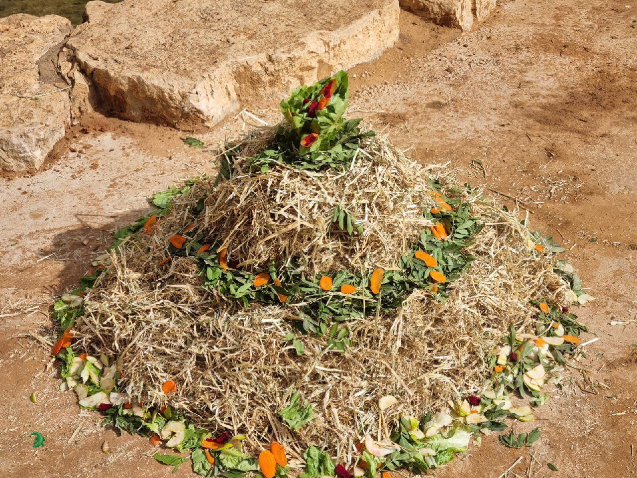 כך הכינו לו "עוגה": יוסי הפיל חוגג היום יומולדת 49