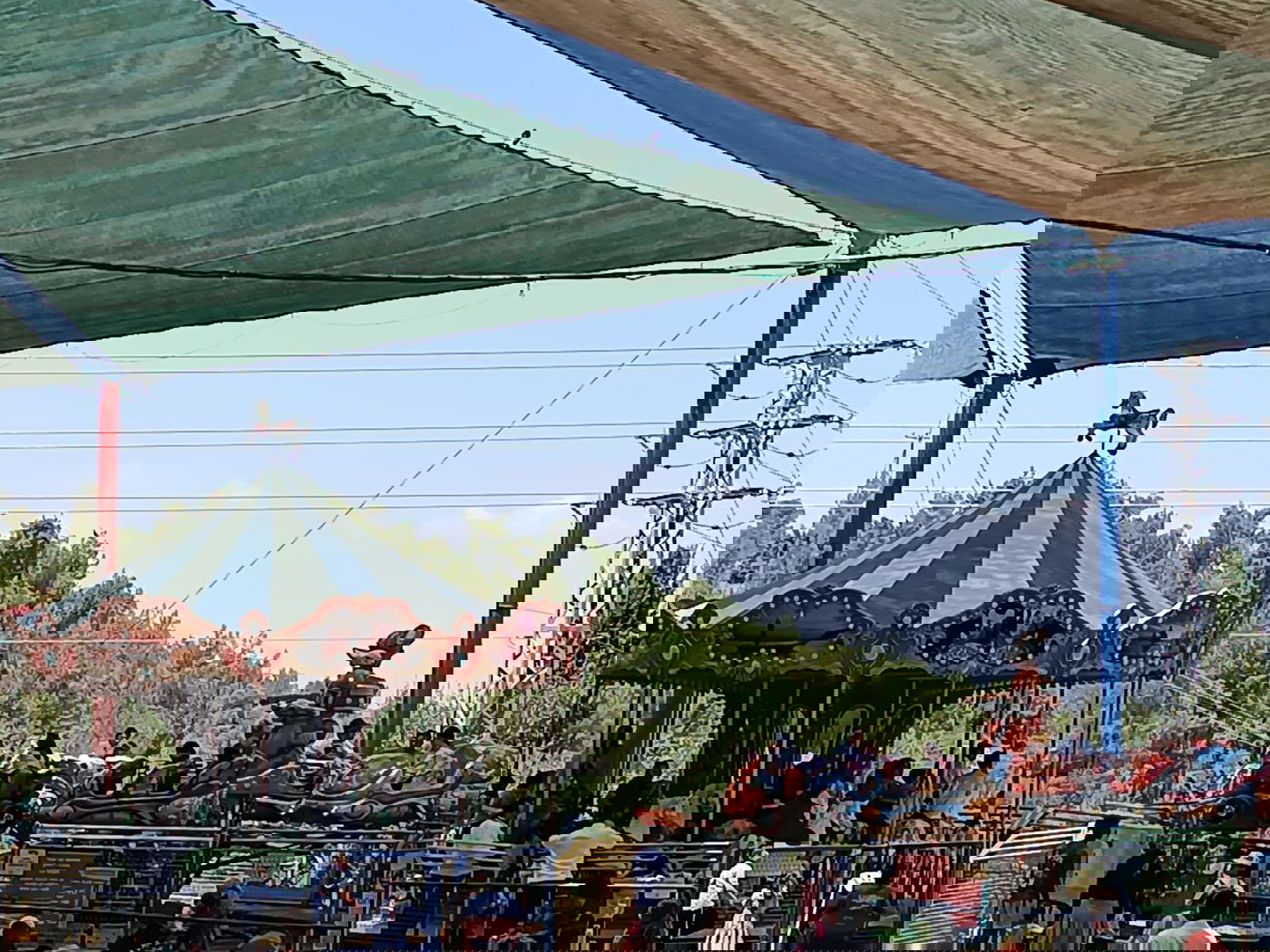 (באדיבות המצלם)