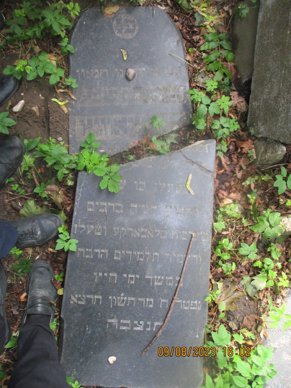 "נקמת דם עבדיך"; הגרש"ב סורוצקין גאל את בניין ישיבת טעלז בליטא • תיעוד מיוחד