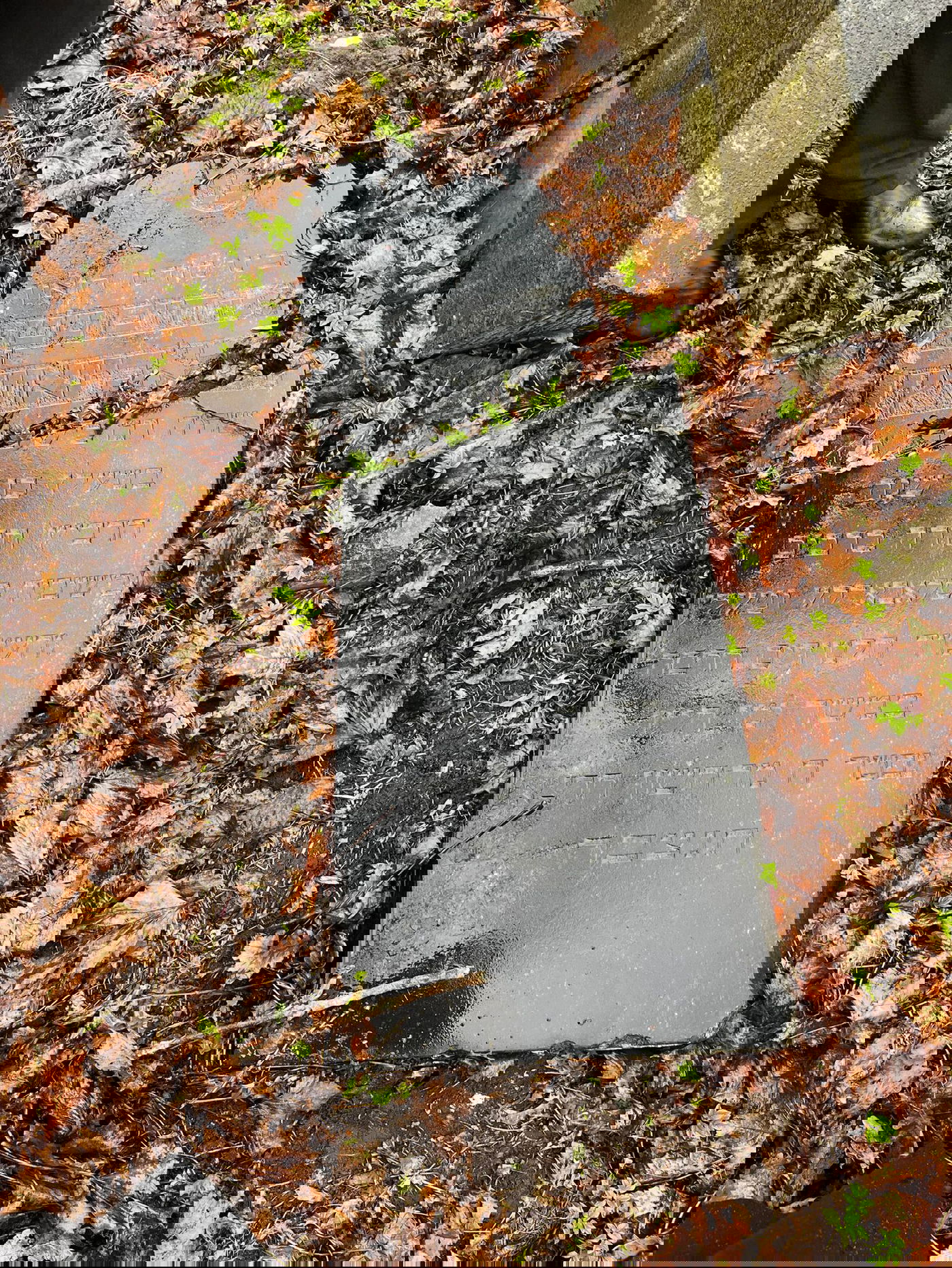 "נקמת דם עבדיך"; הגרש"ב סורוצקין גאל את בניין ישיבת טעלז בליטא • תיעוד מיוחד