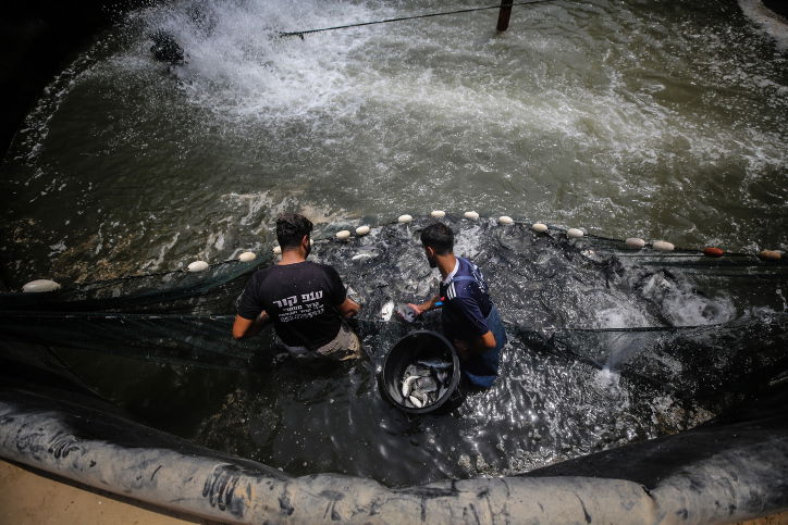 מזג האוויר: עומסי חום כבדים, מחר - התחממות נוספת
