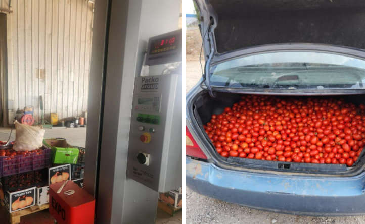 התוצרת שנתפסה