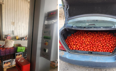 התוצרת שנתפסה