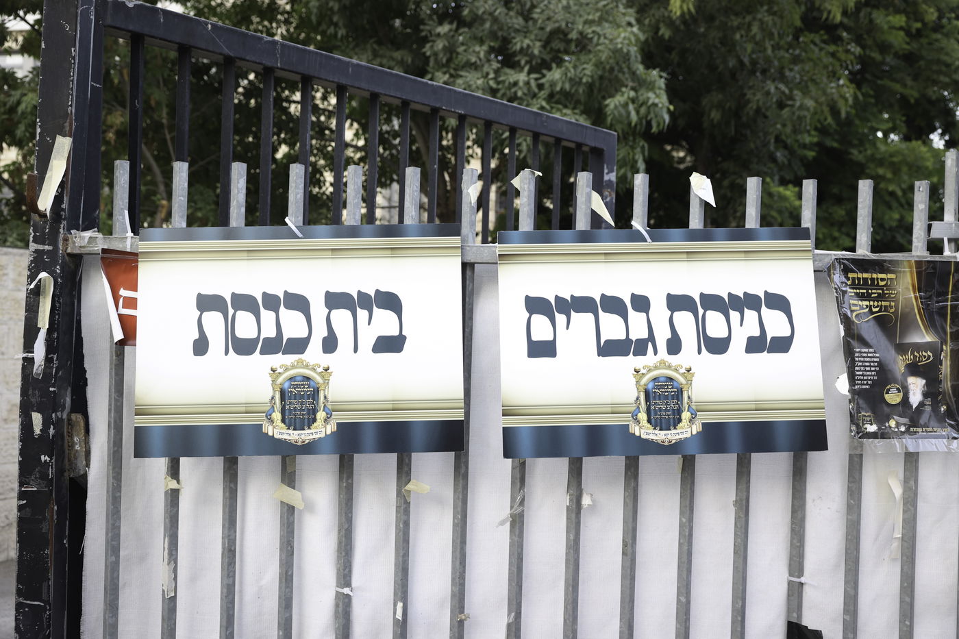 שבת אופרוף לבן המשפיע הגה"צ רבי אלימלך בידרמן | צפו