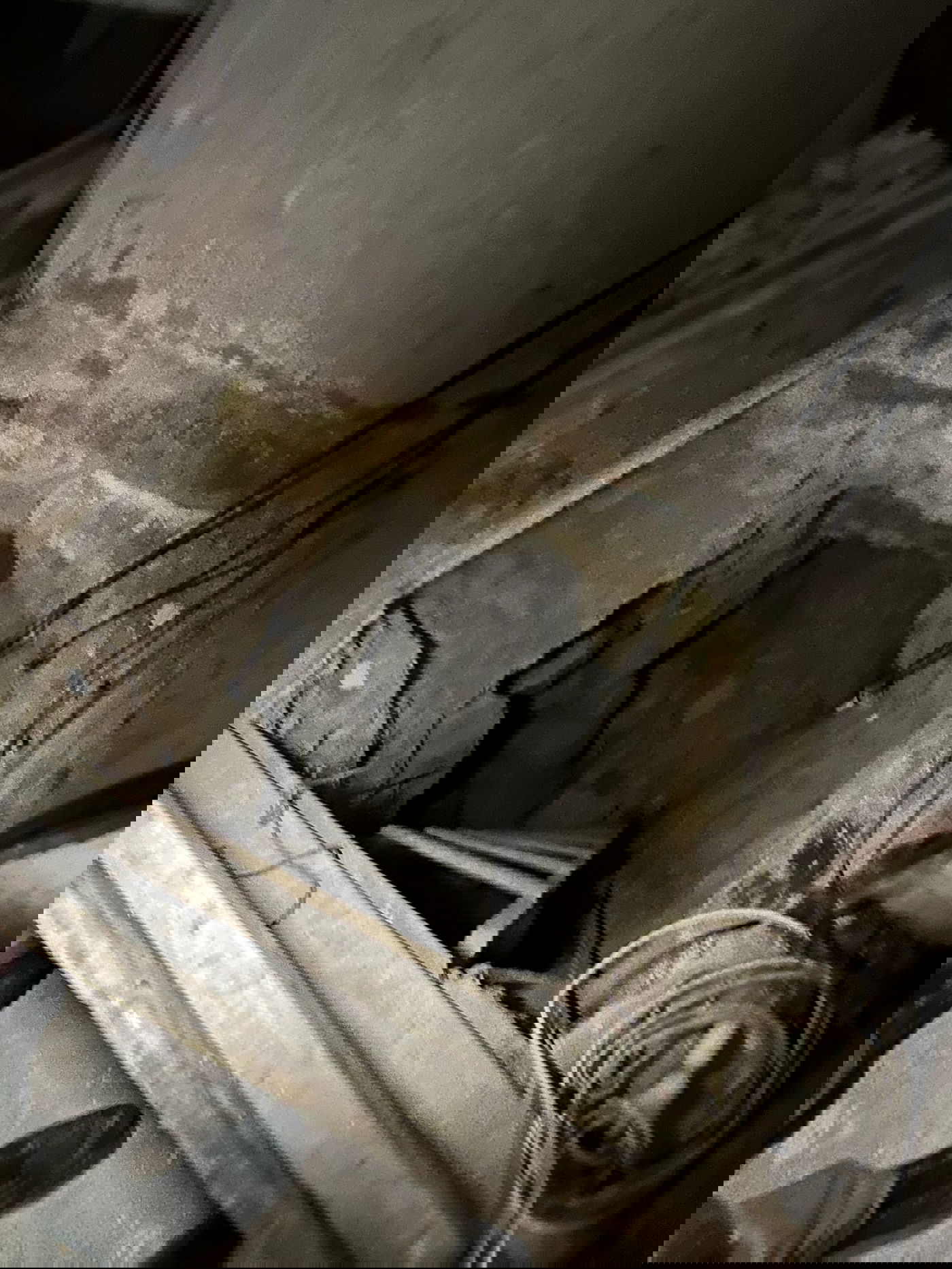 המנהרה שנחשפה