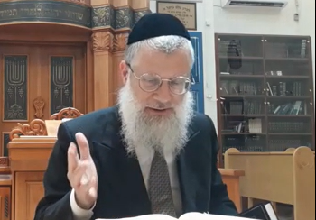 הרב אברהם יוסף שוורץ, על פרשת כי תצא