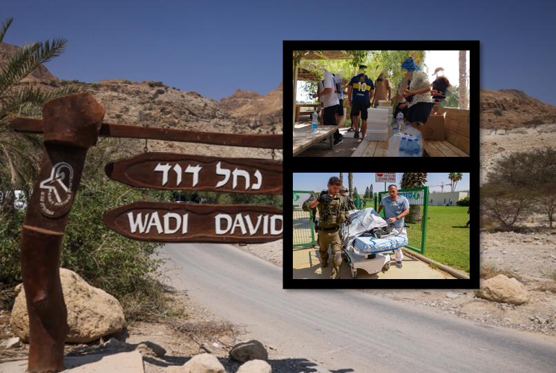 נחל דוד, הבוקר