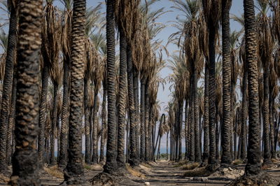 התחזית: הקלה בעומס החום; גשם קל צפוי בצפון ולאורך מישור החוף